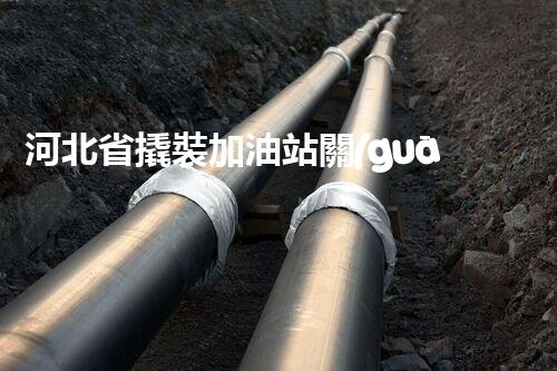 河北省撬裝加油站關(guān)鍵技術(shù)突破！化工廠拆除工程的新方法探索？